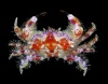 Kepiting
